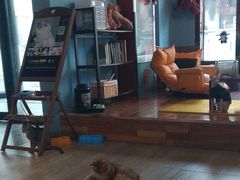 -猫咪咖啡·猫咖(万达广场店)