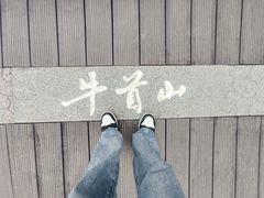 -牛首山文化旅游区