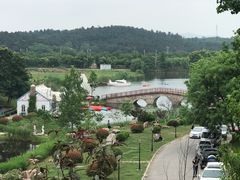 -大塘金香草谷