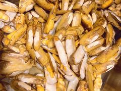 -兴芮温泉度假区