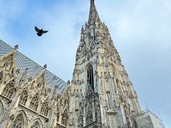 -斯蒂芬主教座堂(Stephansdom)