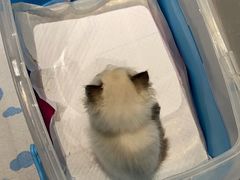 -达爱动物医院·犬猫分区·CT·复杂眼科(远洋山水分院)