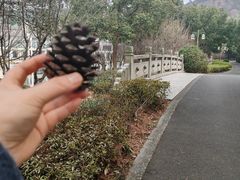 -苏州环秀晓筑养生度假村