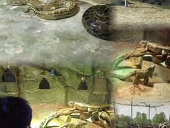 -西安秦岭野生动物园