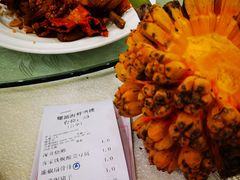 -螺涌海鲜酒楼(增槎路店)