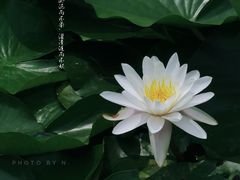 -前关湿地公园