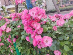 -武汉翔鹏快活林酒店(光霞店)