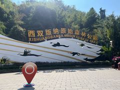 -西双版纳原始森林公园