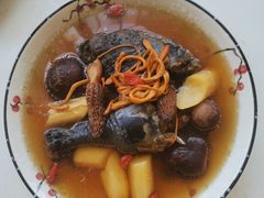 -福孕妈妈家政•月嫂育儿嫂保姆