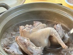 -石岐鸽师傅餐厅(石岐总店)