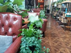 大堂-桉树林A coffee 森林餐厅(三圣乡店)