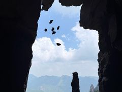 -王莽岭风景区