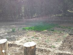 -延安杨家岭革命旧址