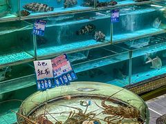 -强记海鲜·大排档(蛇口新街店)