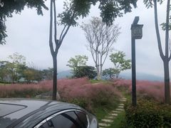-屈原故里文化旅游区