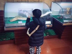 -诸城市恐龙博物馆