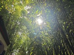 -马洛雷勒花园