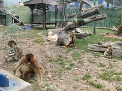 -大连森林动物园