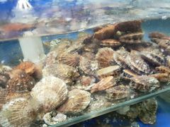 -雅逸居海鲜小厨