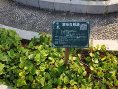 -广西壮族自治区药用植物园