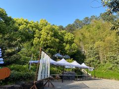 -九龙潭景区