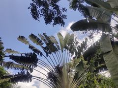-海南热带野生动植物园