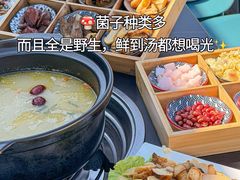 -野菌皇海景野生菌火锅(滨海大道店)