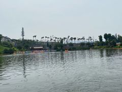 -枫香湖儿童公园
