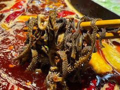 -阳阳老火锅(小南门店)