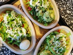 -油梨树AVOCADO TREE(顺义新国展店)