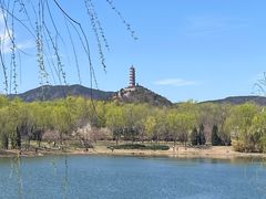 -北坞公园