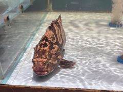-阿伟海鲜楼·福建菜(延寿店)