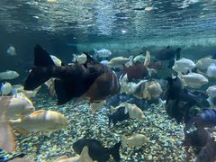 -成都浩海立方海洋公园