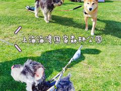 -上海海湾国家森林公园