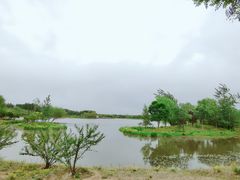-东郊湿地公园