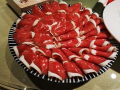 -龙福成肥牛火锅(文昌店)