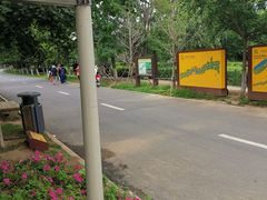 -长白岛森林公园