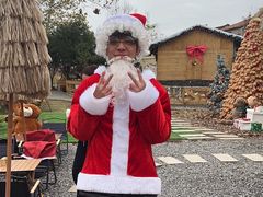 -HERRE·FARM 赫尔露营农场·团建聚会包场