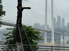 -重庆十八梯传统风貌区