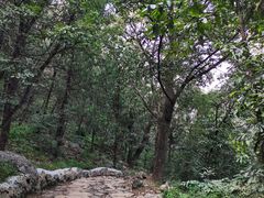 -阳台山自然风景区