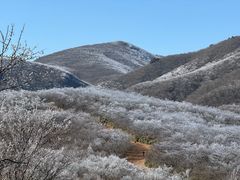 -安吉龙王山风景区