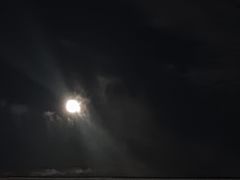 -小麦岛公园