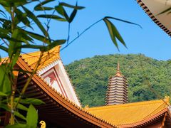 -深圳仙湖植物园