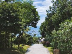 -鼓岭旅游度假区