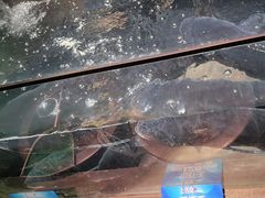 -上名堂·鱼头好吃(体育场路店)