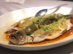 江白鱼-披云徽宴(石景山店)
