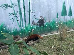 -东部华侨城