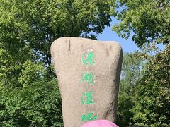 -溱湖国家湿地公园