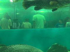 -苏州海洋馆