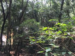 -普陀山风景区-佛顶山